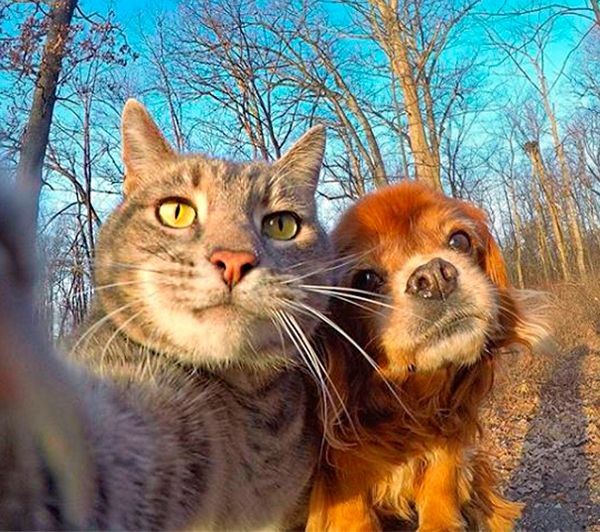 TheNotorioous's tweet photo. Síguenos 🌍💯🔄
@lisjj 
@ijFwzia
@IfbSdv
@0Ain_
@Z_Q_1
@itijv
@Zar_43
💫
@iMJS__
@Sasha_1I
@Sahara_ii
@D_N4bil5 
@Ruth__11 
@zeyz_3 
@fkha30 
@ijj08 
@xslhi 
💫
@MarEthr
@ala_Yi_5 
@YG_572 
@M3H122 
@seba_696
@Brasileiroo_7
@Mr_Divino7 
@7Keendo 
@5q_zk
@July_77a2 
@lunayessih https://t.co/aGjGik2RiZ