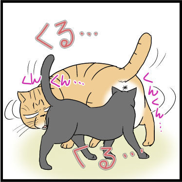 いつまでも見ていたい!笑
 #ニャンコ #まんが #猫 #猫あるある #猫漫画 #ペット #飼い主 #エッセイ漫画 #キャット #ねこのいる生活 #4コマ 