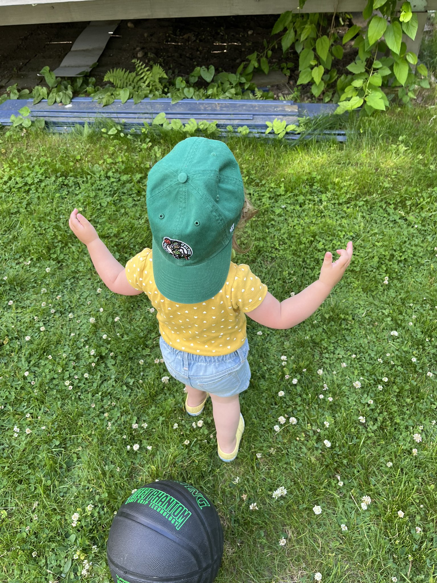 Benjamin Rabinowitz on Twitter: