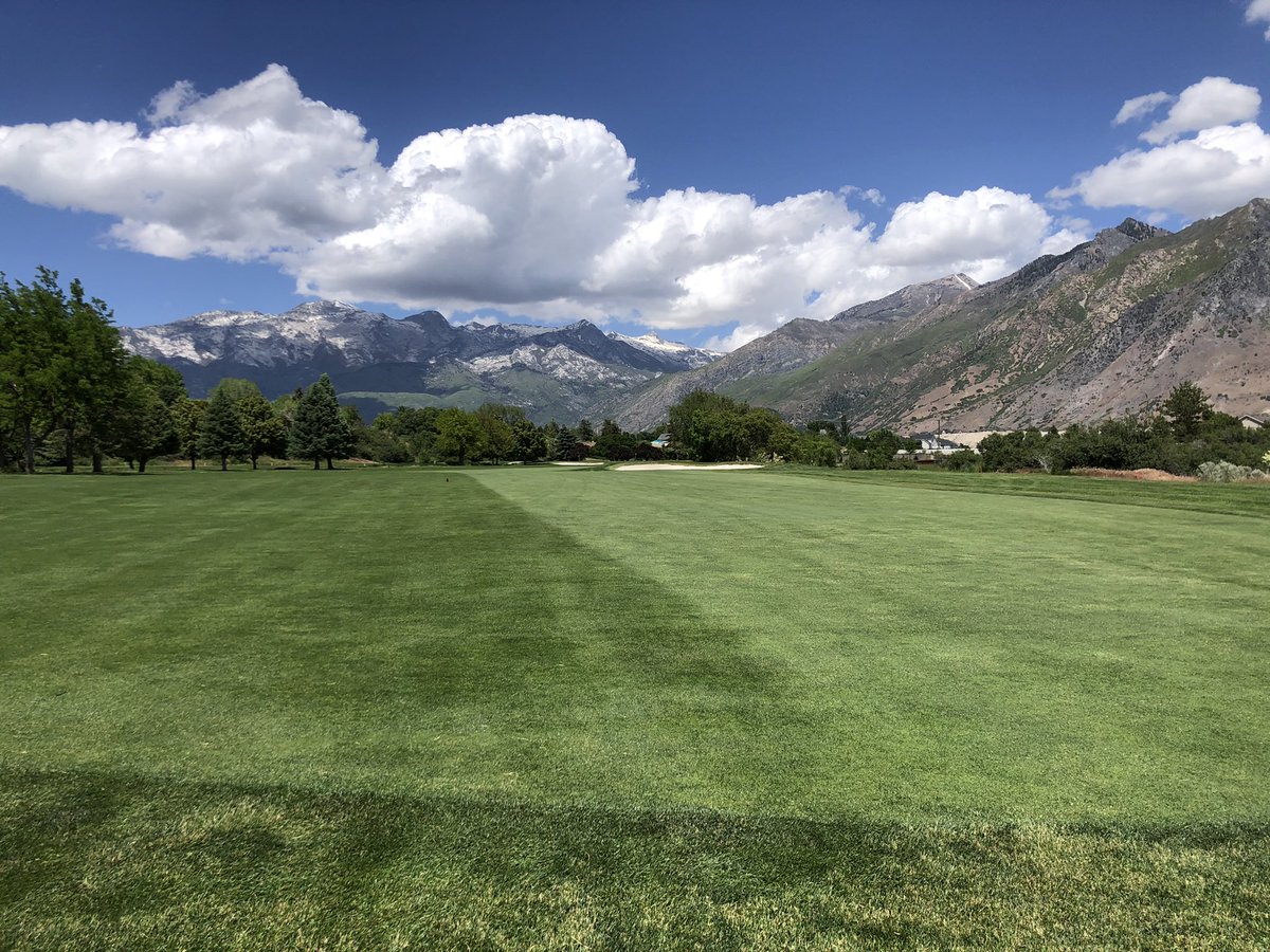 ATGreens1's tweet photo. Ready for this weekend’s tournament #thetradition #alpinecountryclub #13 https://t.co/eWnb942RX9