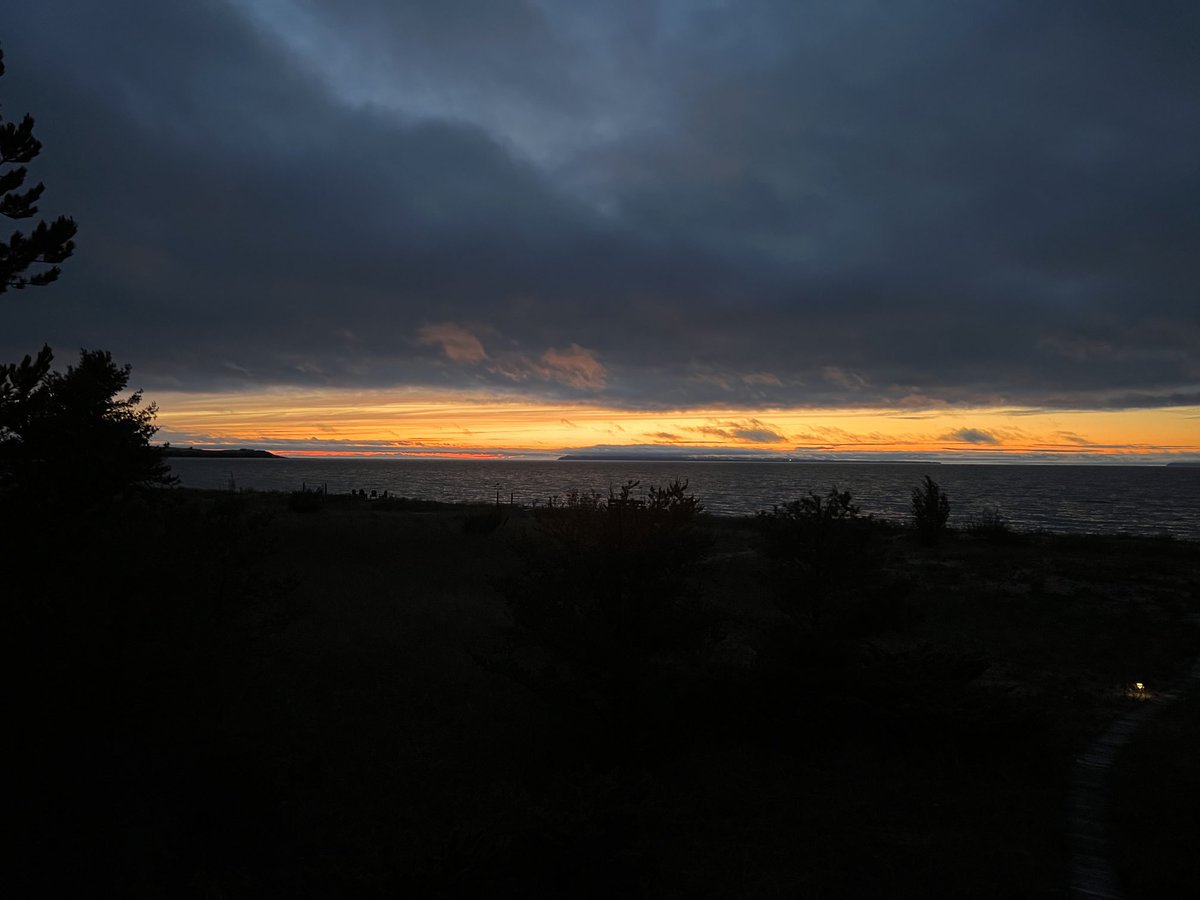 Thanks for the show #puremichigan