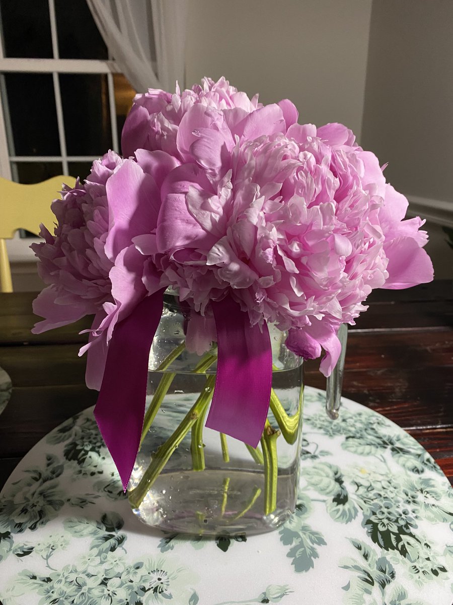 Samantha Wilds tweet media