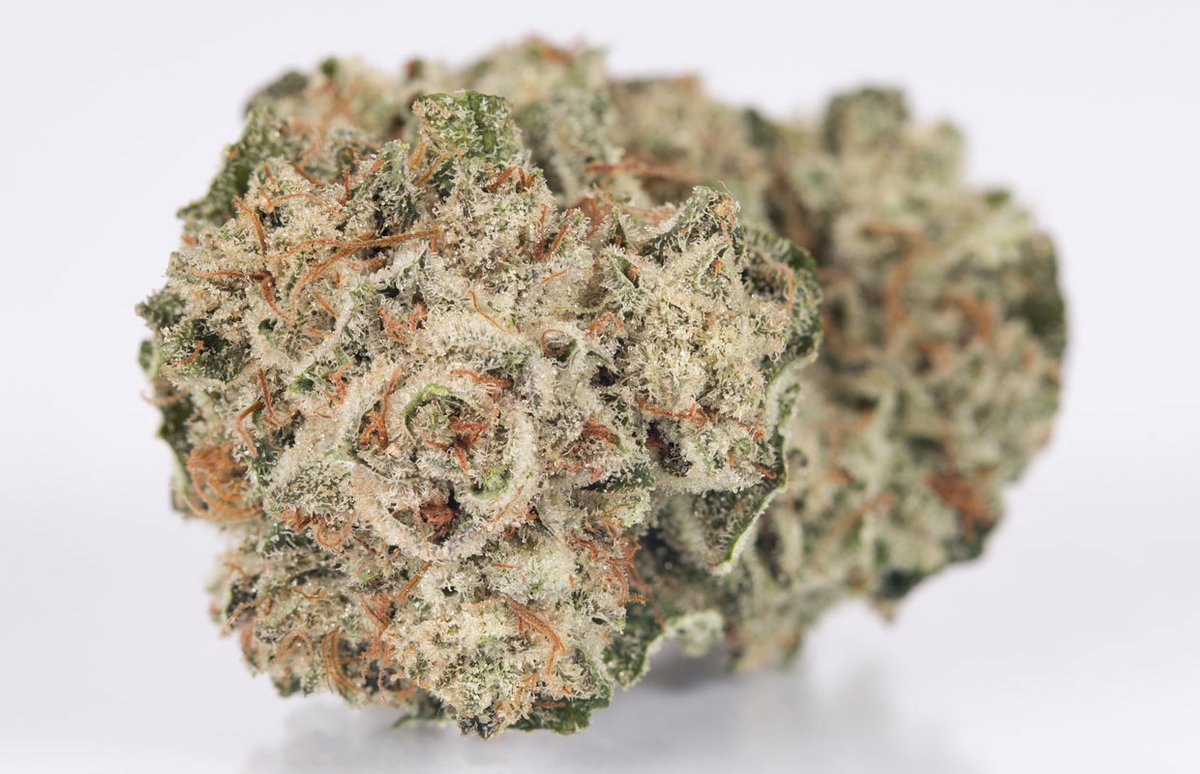SmokingBC's tweet photo. Gorilla Glue #4 is a potent hybrid marijuana strain that delivers heavy-handed euphoria and relaxation, leaving you feeling “glued” to the couch 🛋
https://t.co/RAnnGeZeov

#NFTs #nftart Smoking #cannabis #NFTCommunity #NFTProject #NFTsales #art #OpenSeaNFT #opensource #NFTshill https://t.co/gnY5vFoaPy