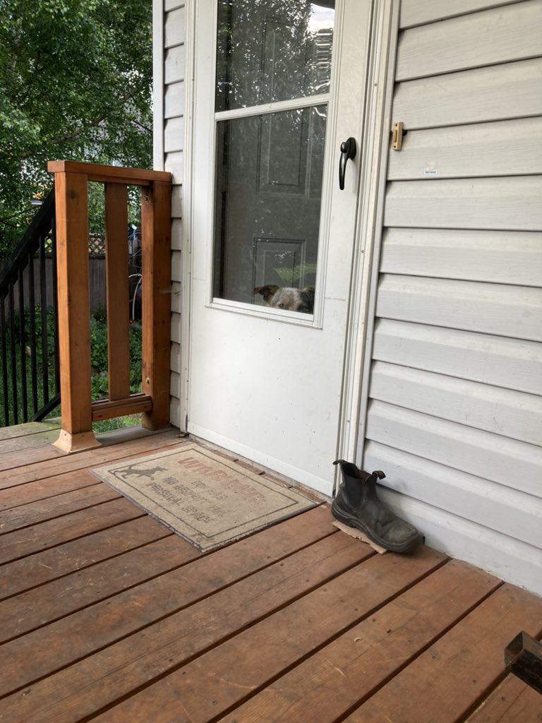 wubkitty's tweet photo. Can I f***ing have a smoke in peace ? #dog https://t.co/CpfXyJ54KZ