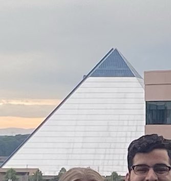 Emily Norton tweet media