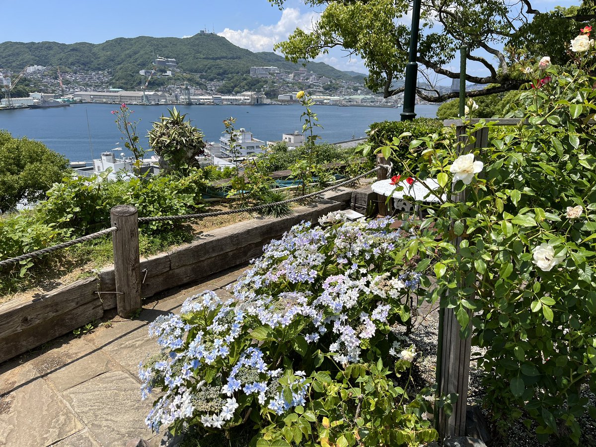 sunday_7771's tweet photo. グラバー園です。リンガー邸前の花壇からの長崎港と稲佐山の景色にほっと安らぎます。のんびりいくらでも眺めていられます。#長崎 #nagasaki #グラバー園 #リンガー邸 #長崎港 #稲佐山 https://t.co/pvHU9GSLdt