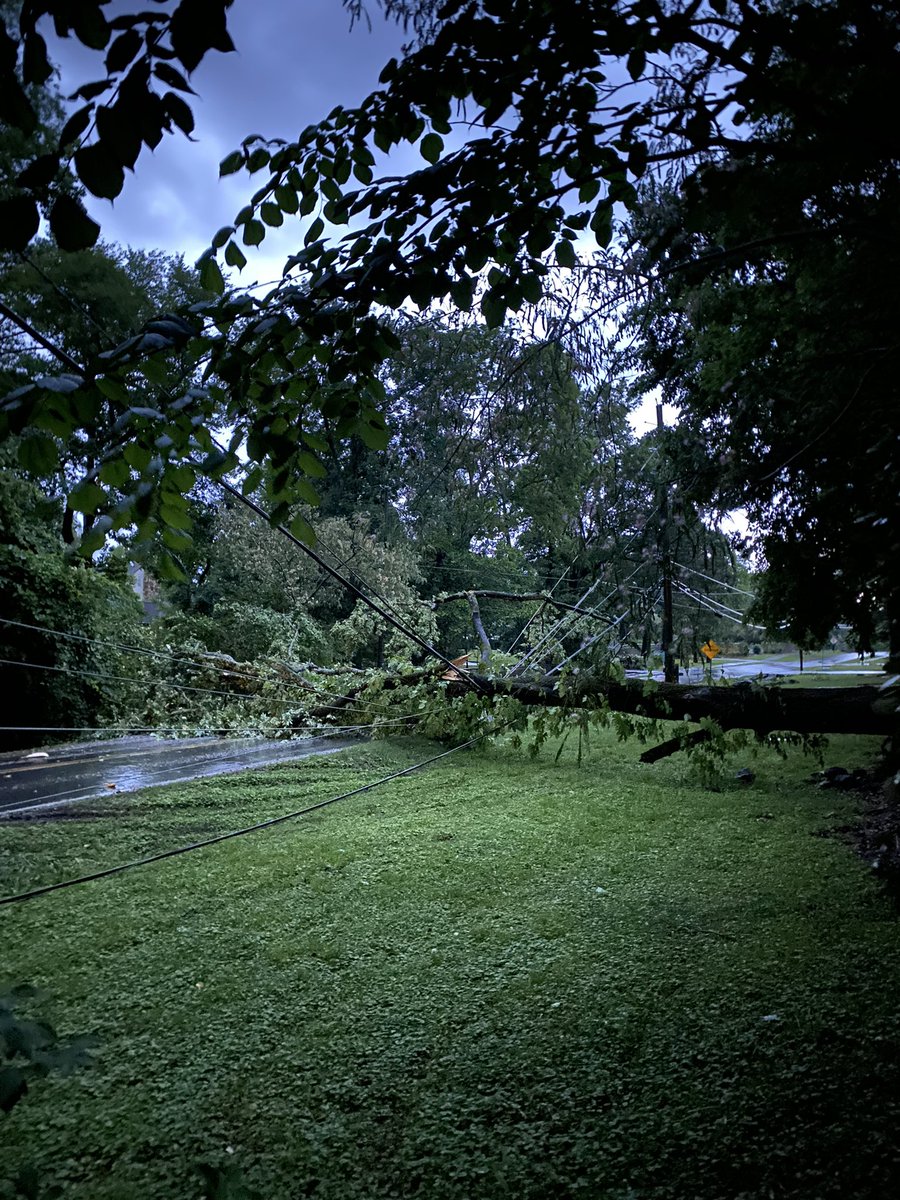 yench75's tweet photo. @alabamapower @spann tree fell on power lines in Bluff Park, all power out https://t.co/if8XiIAHZS