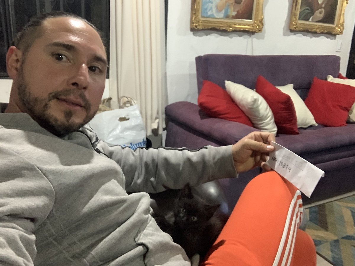 <a href="/Katatonik_nft/">KATATONIK</a> #weloveskats Hary | 8874
One day, I went out to buy some stuff for my loved kitty, she was even smaller since I adopted her even younger than she is now. I left the door opened, once I got back she was not at home. I was looking for her around my house and outside..!