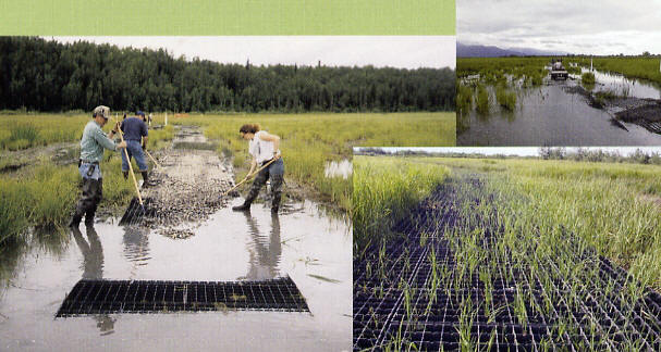 daveneubs's tweet photo. The Key to Sustainable Trail Design - https://t.co/TVWNqlwY6L https://t.co/K3JAUUPif1