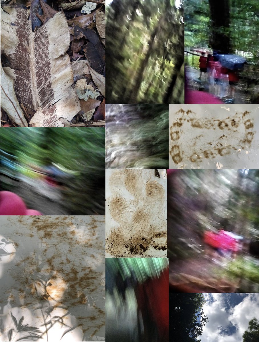 Published! 
This paper describes a beautiful project with children and young people from the SSHRC funded 'Mapping A/r/tography' project, and how this work led us to design an a/r/tographic analytical protocol that engages the renderings. 
doi.org/10.1177/107780…