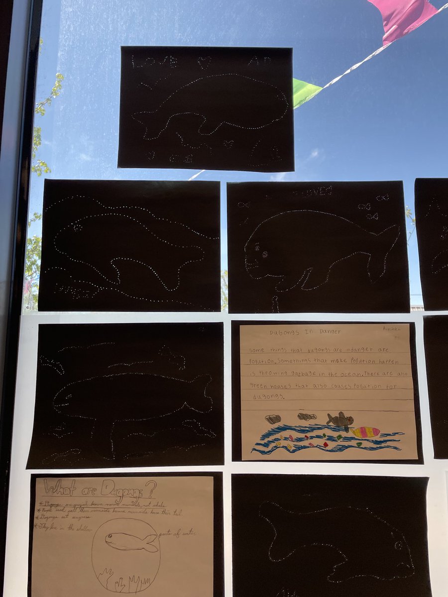 I spy with my little eye dugongs swimming by. A great way to celebrate  #worldoceanday by reflecting on our learning experiences with the ⁦<a href="/Explorer1mprint/">Explorer Imprint</a>⁩ cohort led by ⁦<a href="/KimiWaite/">Kimi Waite, Ph.D.</a>⁩ &amp; ⁦<a href="/MrsJBurgin/">Jennifer Burgin NBCT</a>⁩ and supported by ⁦<a href="/NatGeoEducation/">Nat Geo Education</a>⁩