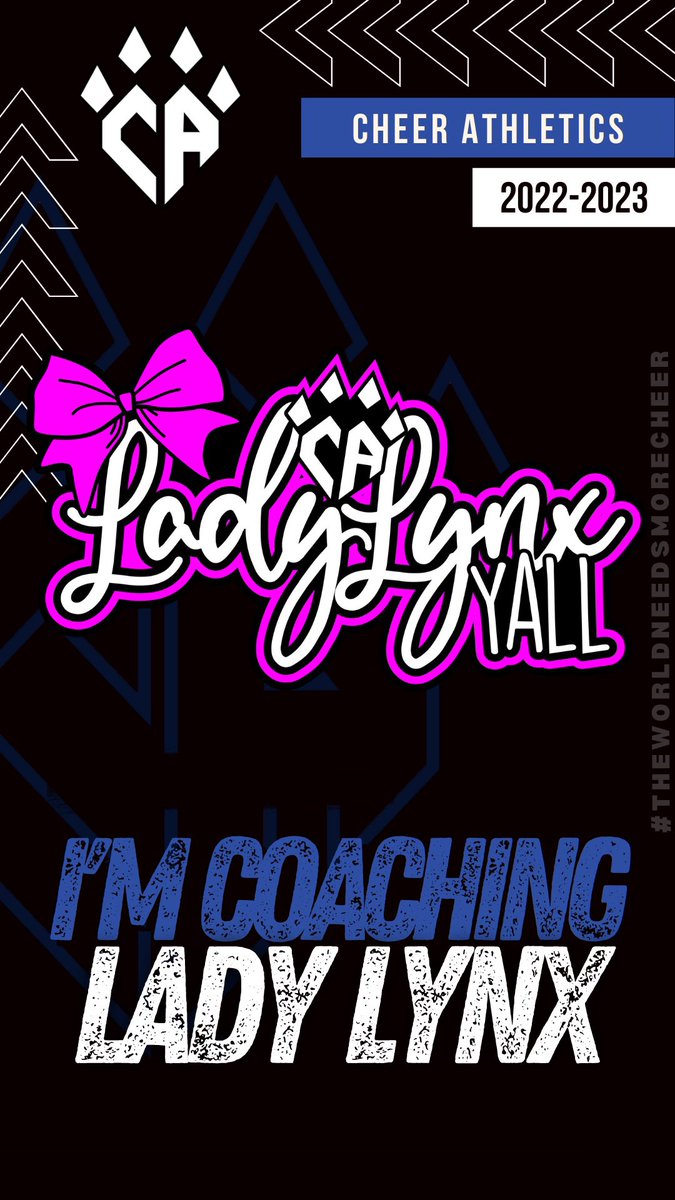 GraysonDaley's tweet image. Let’s do this 😼