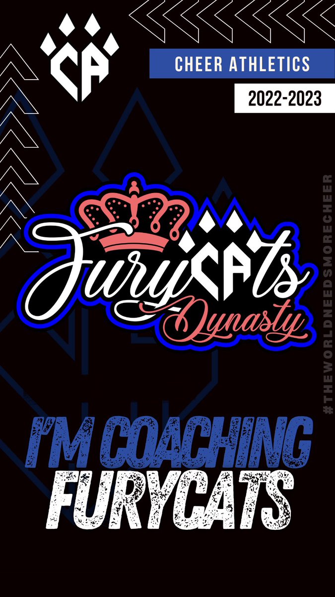 GraysonDaley's tweet image. Let’s do this 😼