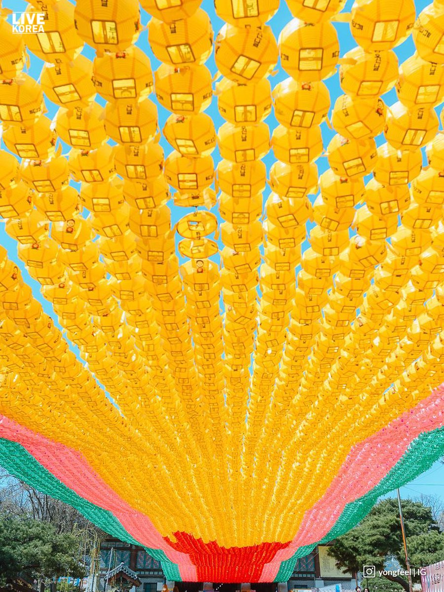 Bongeunsa Temple, Korea 🇰🇷
📷: yongfeel | IG
<a href="/livekoreasouth/">Live Korea</a> #livekorea #korea #travelkorea #visitkorea #tourkorea