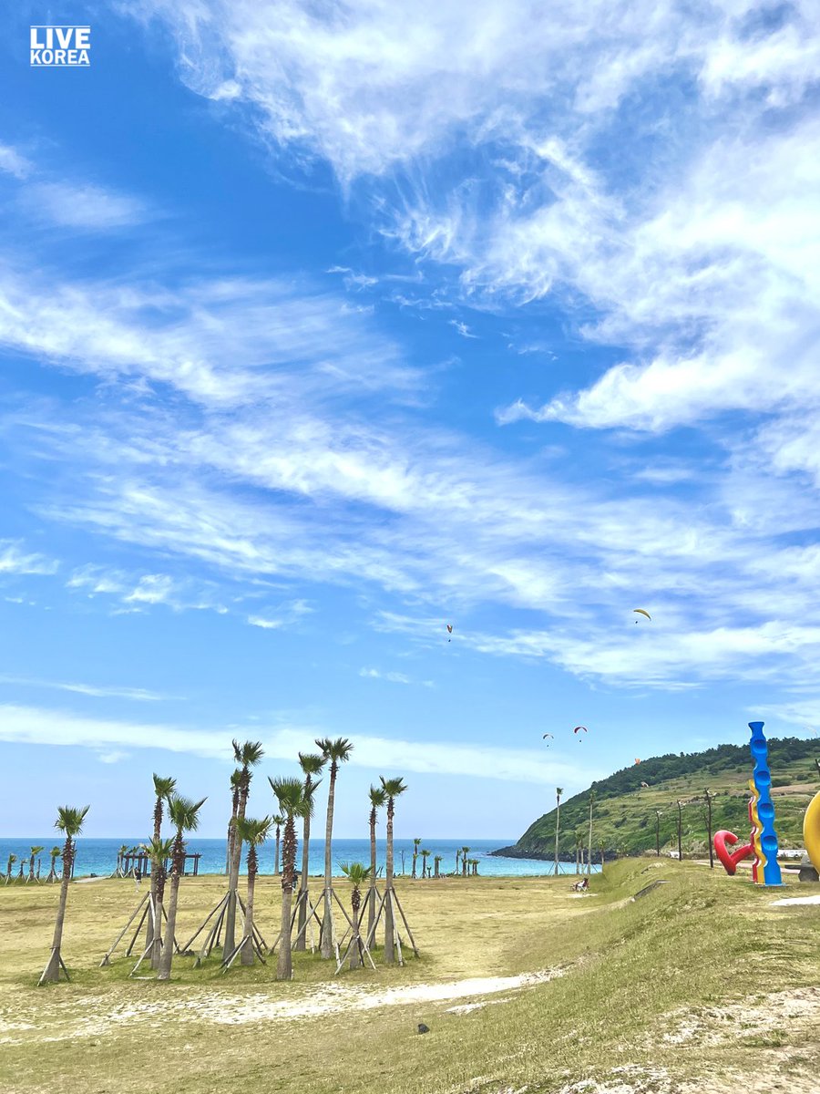 Jeju Island, Korea 🇰🇷
📷: <a href="/livekoreasouth/">Live Korea</a>
 #livekorea #korea #travelkorea #visitkorea #tourkorea