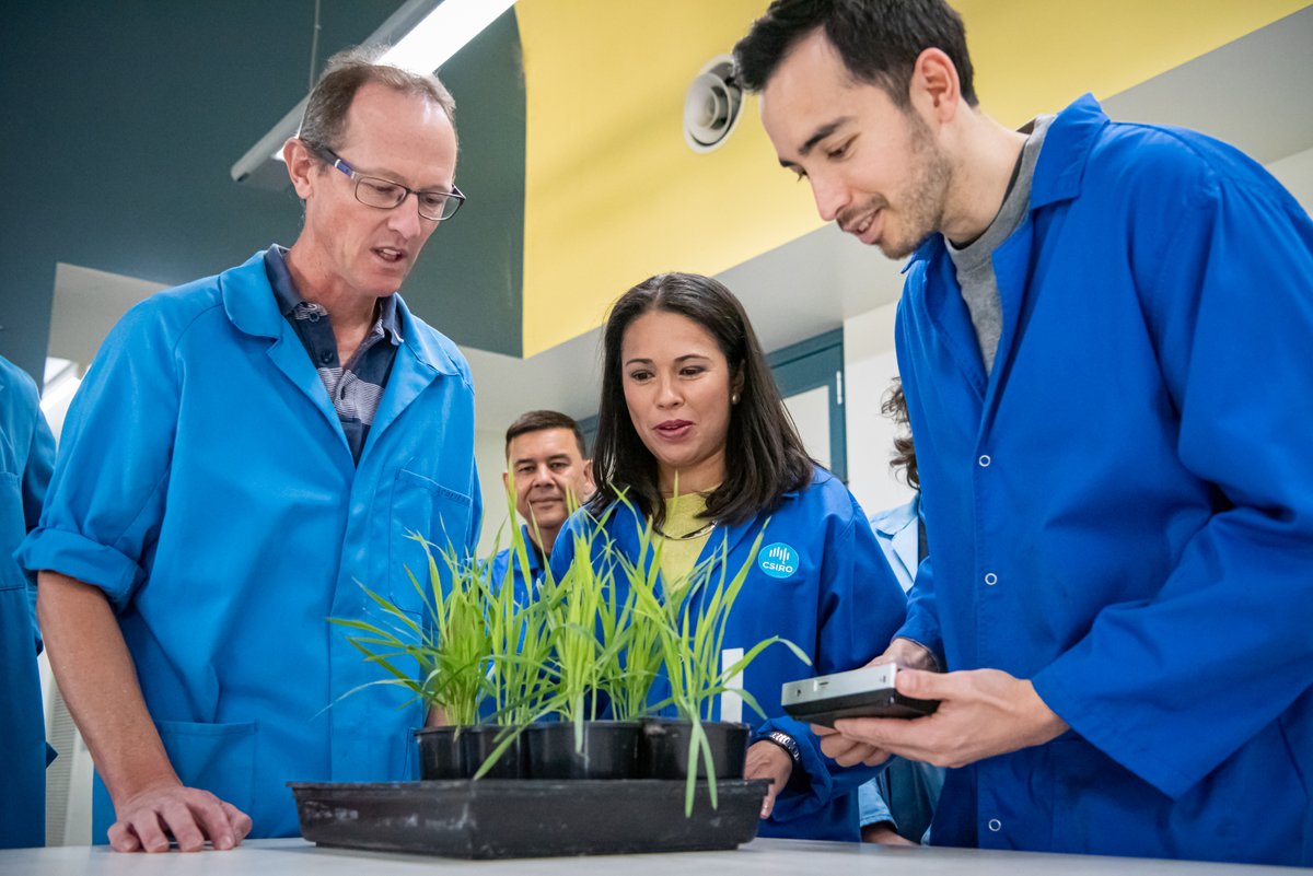 Figueroa_MM's tweet photo. just a few days left to apply to this fantastic postdoc position- be part of our team... don't miss your chance! #oatrust @ISMPMI @globalrust @PlantDiseaseJ https://t.co/KmXdoUg9S5