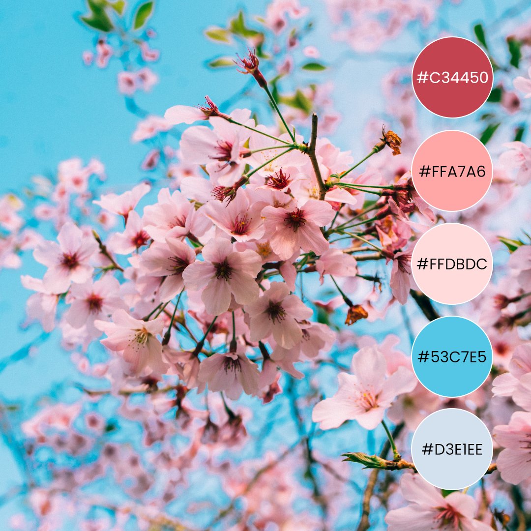 Offeo's tweet photo. From fashion to nature, pink is a color that has been embraced with much vigor. Here are some variations of pink color palettes with different styles🌸
Want more? Head to this link:
https://t.co/uJcbmpzttc
#pinkcolorpalette #colorpalette #MadewithOFFEO #OFFEO #designer #design https://t.co/diD5Sj0sc2