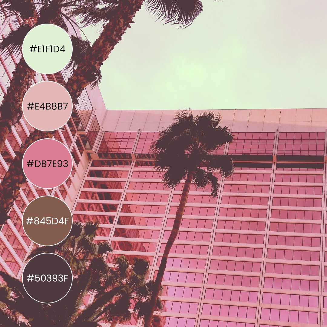 Offeo's tweet photo. From fashion to nature, pink is a color that has been embraced with much vigor. Here are some variations of pink color palettes with different styles🌸
Want more? Head to this link:
https://t.co/uJcbmpzttc
#pinkcolorpalette #colorpalette #MadewithOFFEO #OFFEO #designer #design https://t.co/diD5Sj0sc2