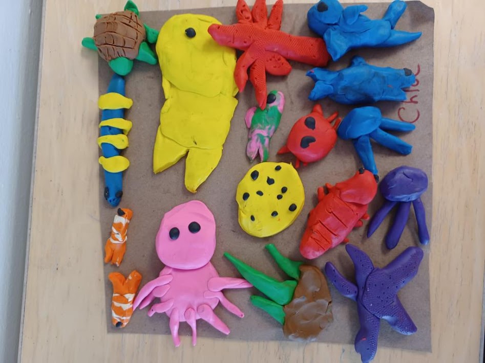 CentralCMS's tweet photo. Today on World Oceans Day, we spoke of the significance of our worlds oceans; the animal life that lives within them and the importance of keeping our oceans sustainable for our future. #WorldOceanDay #sealife #Sustainability https://t.co/3efVvoRPC4