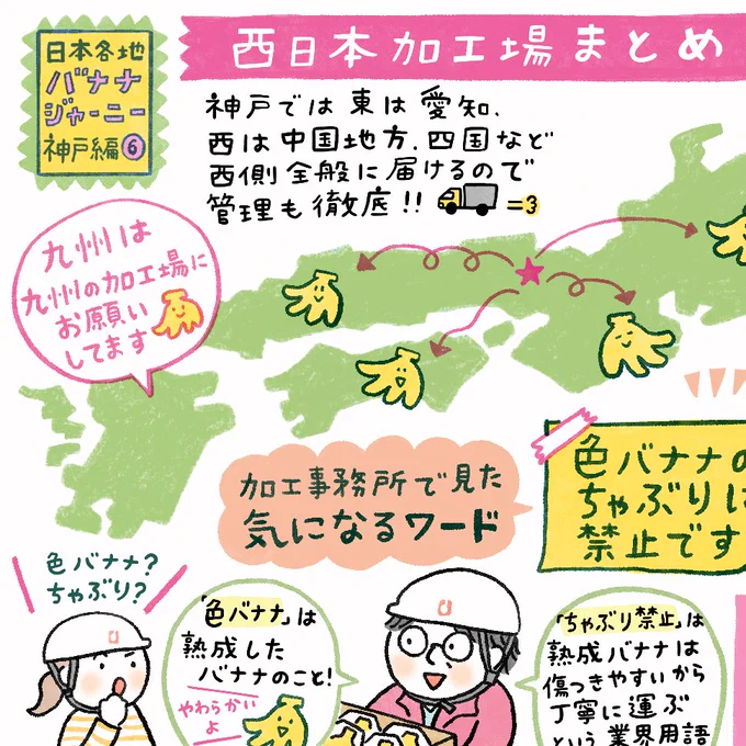 ユニフルーティ様のインスタグラムにて日本各地の「バナナジャーニー6」が更新されました!(全体画像はインスタグラムにて )毎週イラストが更新されるので是非フォローお願いします^///^バナナに少しずつ詳しくなっておりますw 