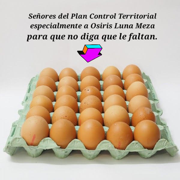 Que se le puede pedir a un simple Exvendedor de baterías de cocina, una garrapata del NARCODIPUTADO <a href="/GGallegos24/">Guillermo Gallegos</a>.

Si este fue cuota política del narco partidos Gana, esperemos que el pueblo despierte.

Poner a un pandillero a mando que le falta 27 años lo vuelve NEFASTO.