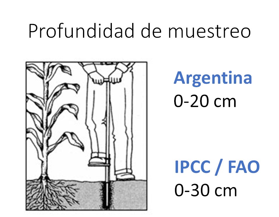 En el creciente interés en el carbono del suelo.
Solo hay una cosa cierta, hay que medir. 
Pero… ¿A qué profundidad?
En Argentina suele muestrearse a 20 cm y los organismos internacionales recomiendan a 30 cm.
¿Es suficiente para captar cambios en el carbono del suelo?