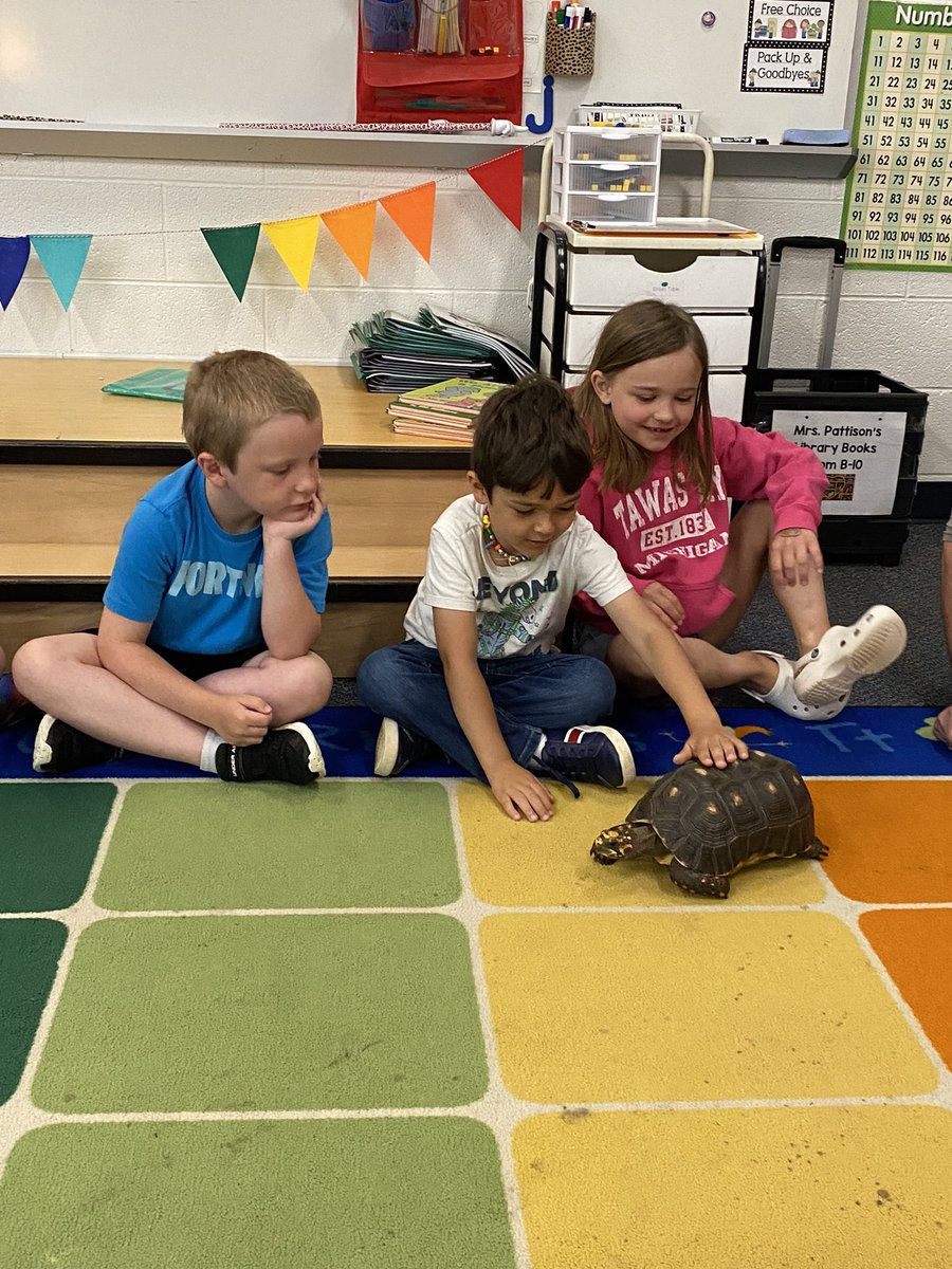 Science Alive was AWESOME today! We loved learning and loving on these cool animals! Thank you, <a href="/PtoBartlett/">BartlettPTO</a> !! 🐢🐸🐍🦥❤️ <a href="/SLCSBartlett/">Bartlett Elementary</a>