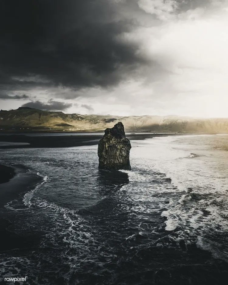 poojagarg1111's tweet image. Enlightenment is when a wave realises it is a ocean. 

Thich Nhat Hanh 
#quote