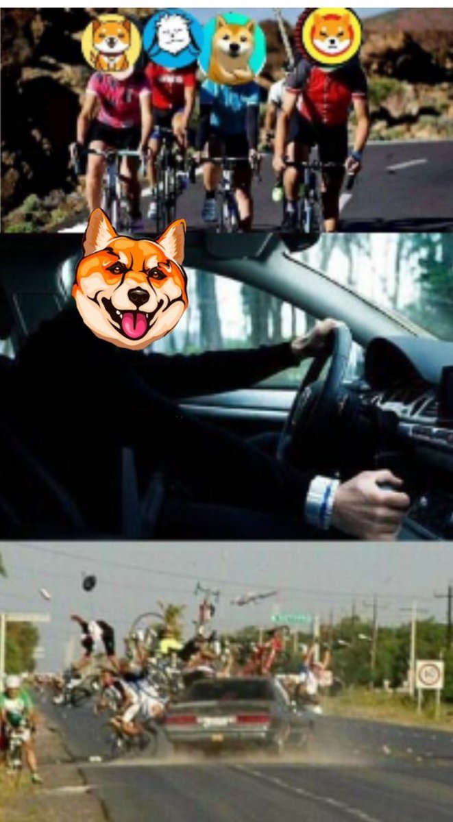 SHIBJIRU INU tweet media