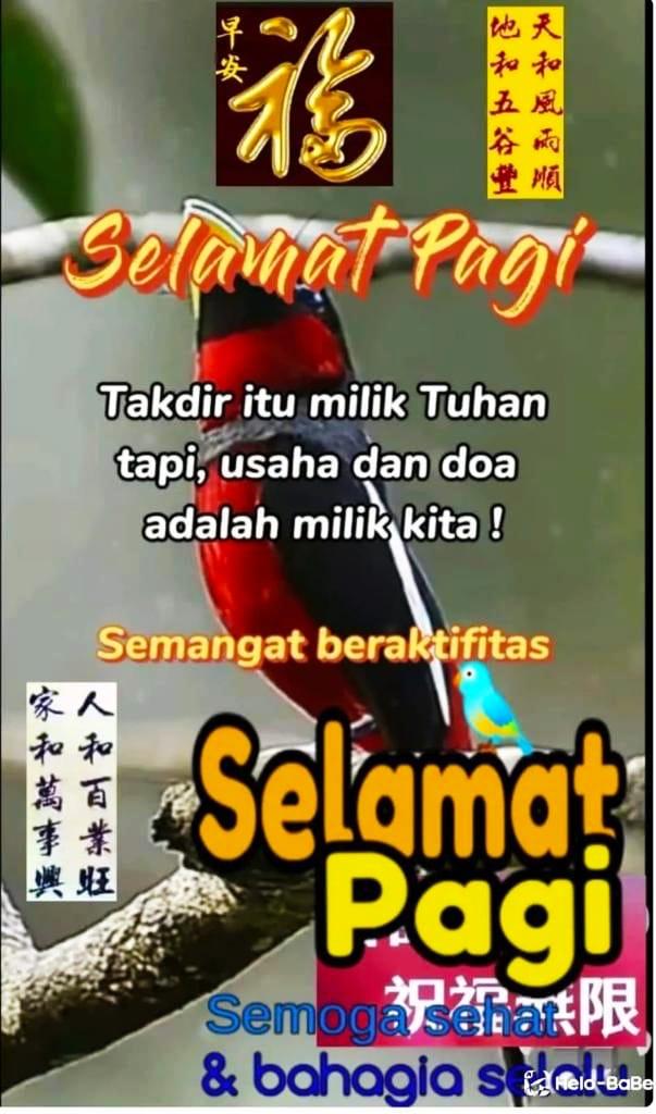 semangar pagi