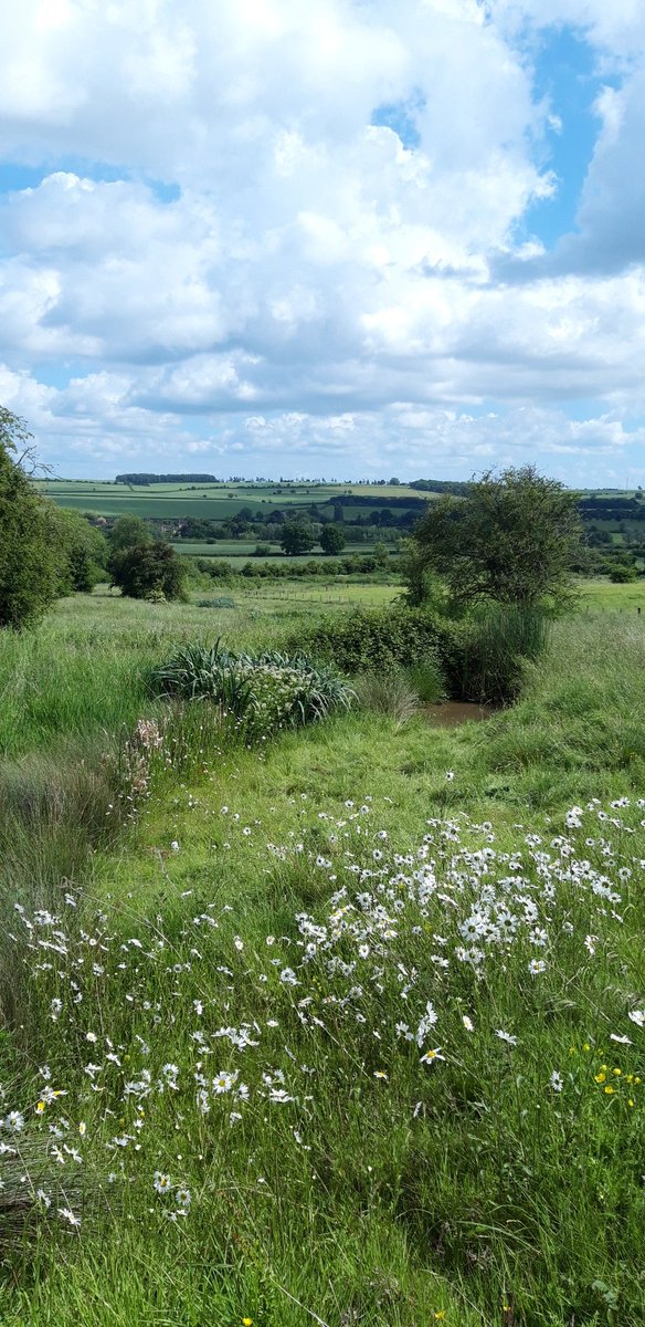 A big thank you to Jonty and the team <a href="/RealFarmED/">FarmED</a> yesterday for hosting our <a href="/LandwiseNFM/">NERC LandwiseNFM</a> event and showing us #agroecology and #nfm in action.