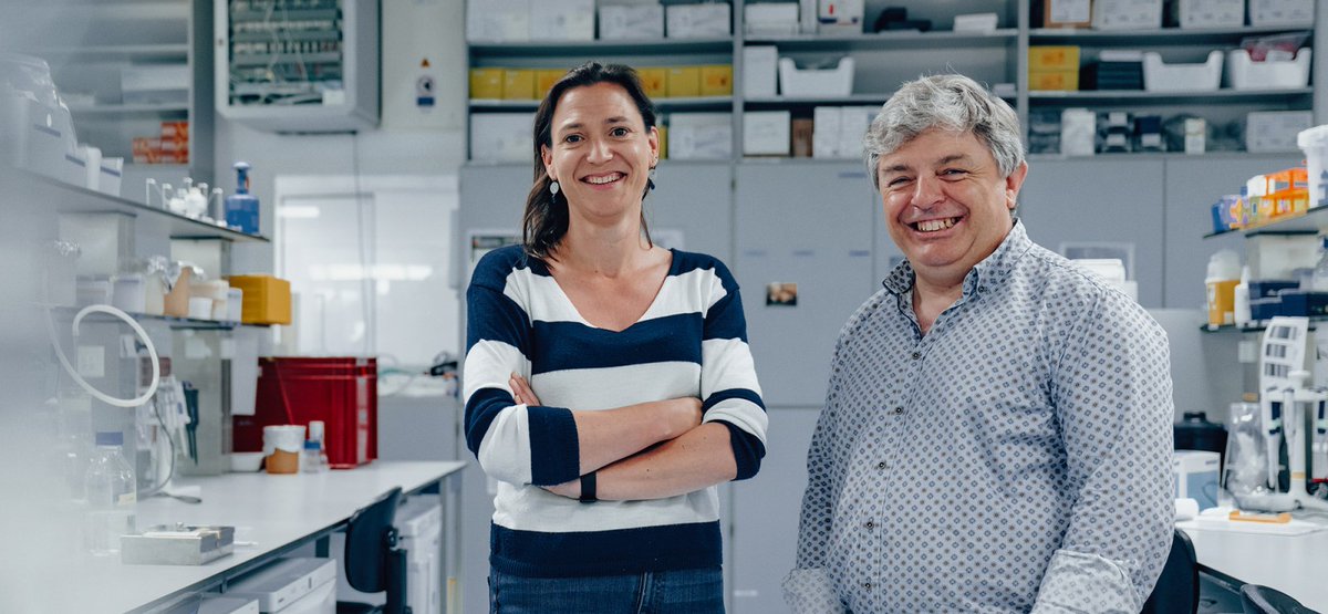 "We hopen een manier te vinden om het darmmicrobioom te beïnvloeden en zo de ziekte te vertragen", aldus professor Patrick Santens <a href="/santens1/">patrick santens</a>. Meer over het Fonds voor Parkinsononderzoek via tinyurl.com/2p9dbxxc <a href="/ugent/">UGent</a> <a href="/uzgent/">UZ Gent</a>  #parkinson
