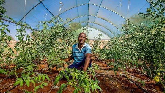 WBG_AgriFood's tweet photo. Financing adaptation to climate change in African agriculture &amp; food systems will be more cost-effective than financing increasingly frequent crisis response and disaster relief.

https://t.co/ugxHXhwfdK https://t.co/ivitjK0Xhp