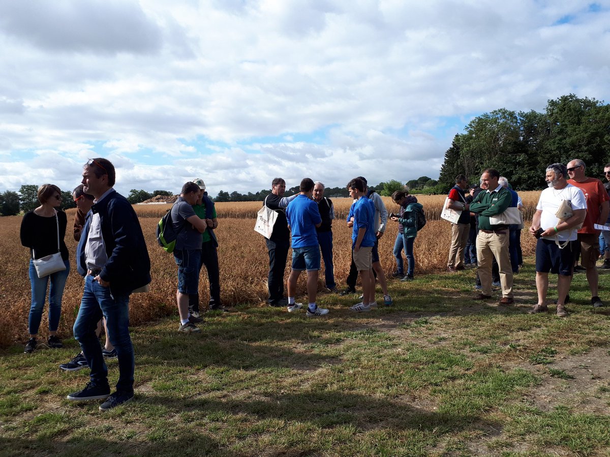 LaFNAMS's tweet photo. Première démonstration d'#andainage sur #trèfle incarnat à #RECOLTEXPO avec un de nos exposants #Gilibert et un matériel #Pottinger https://t.co/MTPyC4zt8b