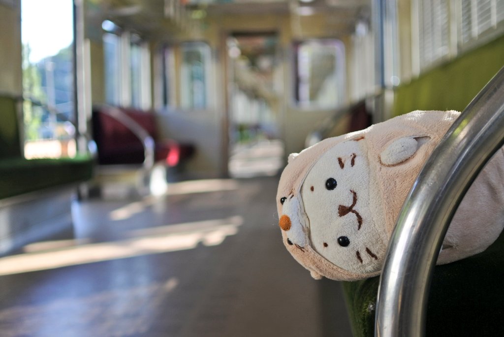 kopi_rabbit's tweet photo. 電車で帰るきゅ

#sirotan
#しろたん
#ラッコたん
#電車しろたん https://t.co/S6dc2Oph3b