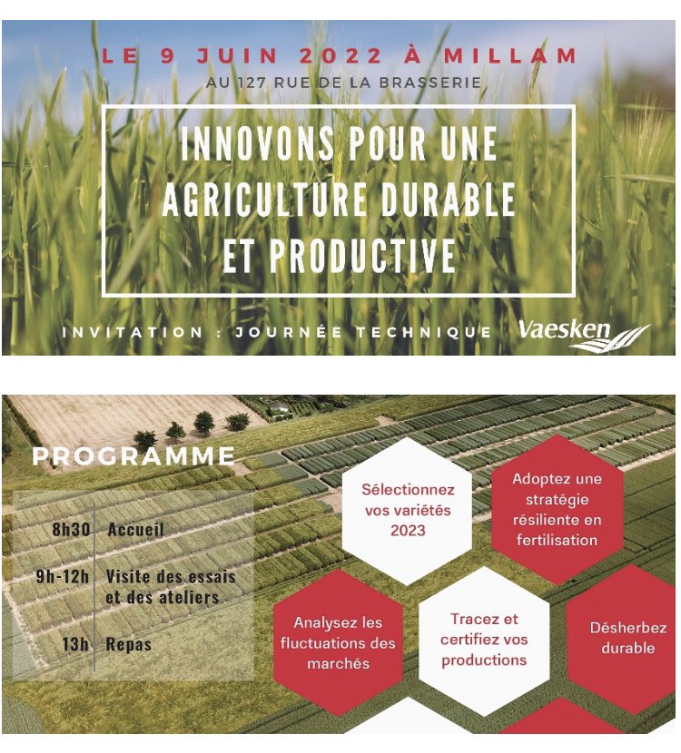 VAESKEN Negociant tweet media