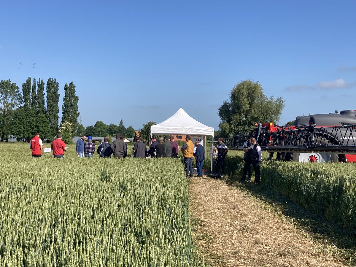 VAESKEN Negociant tweet media