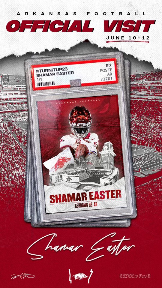 👀👀#woopig 🐗🐗