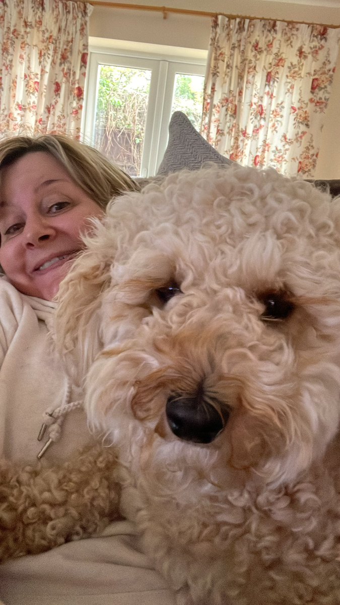 Ruby_Cockapoo's tweet image. Good morning 🐶🐾 from me and my hooman #DogsofTwitter #Dogs #Cockapoo 🐶🤣🌞🌤💕