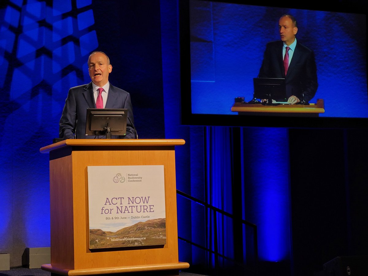 Pádraic Fogarty tweet media