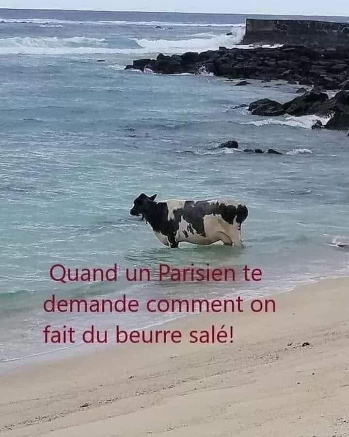 Alain Rodet tweet media