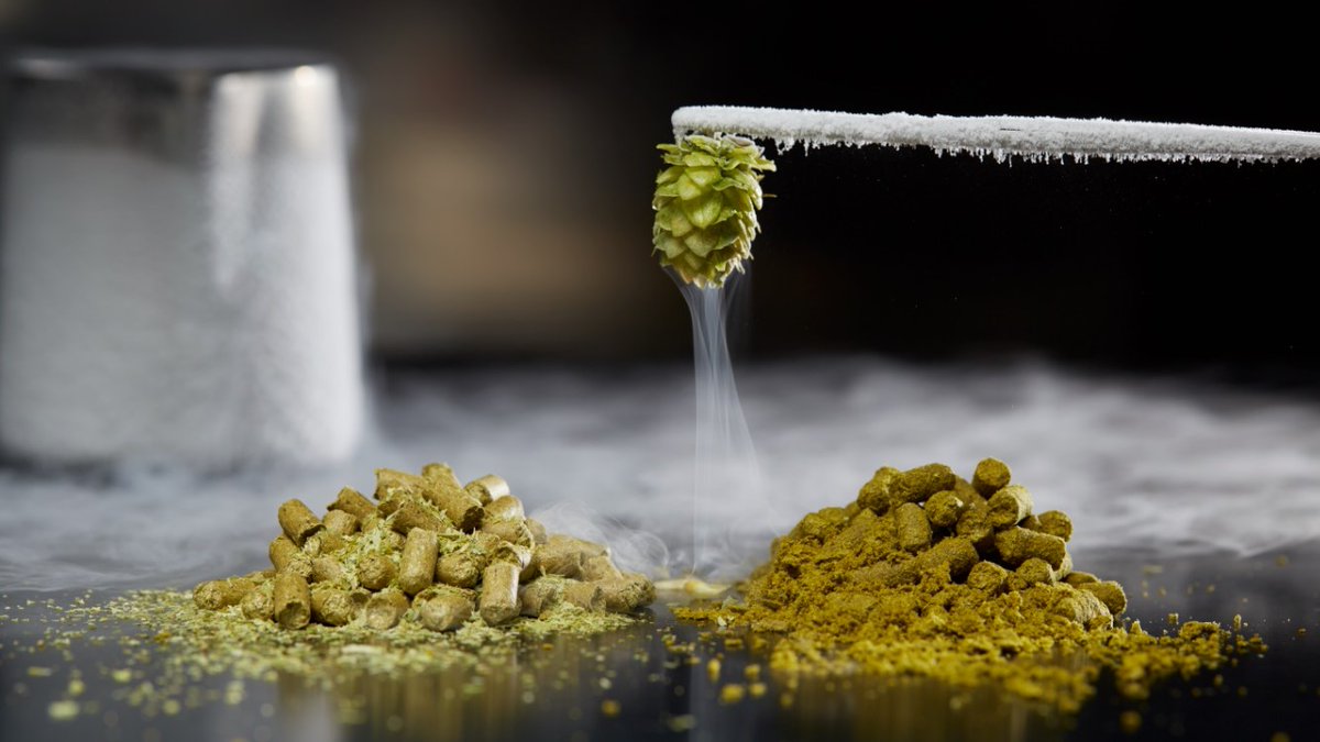 Cryer Malt tweet media