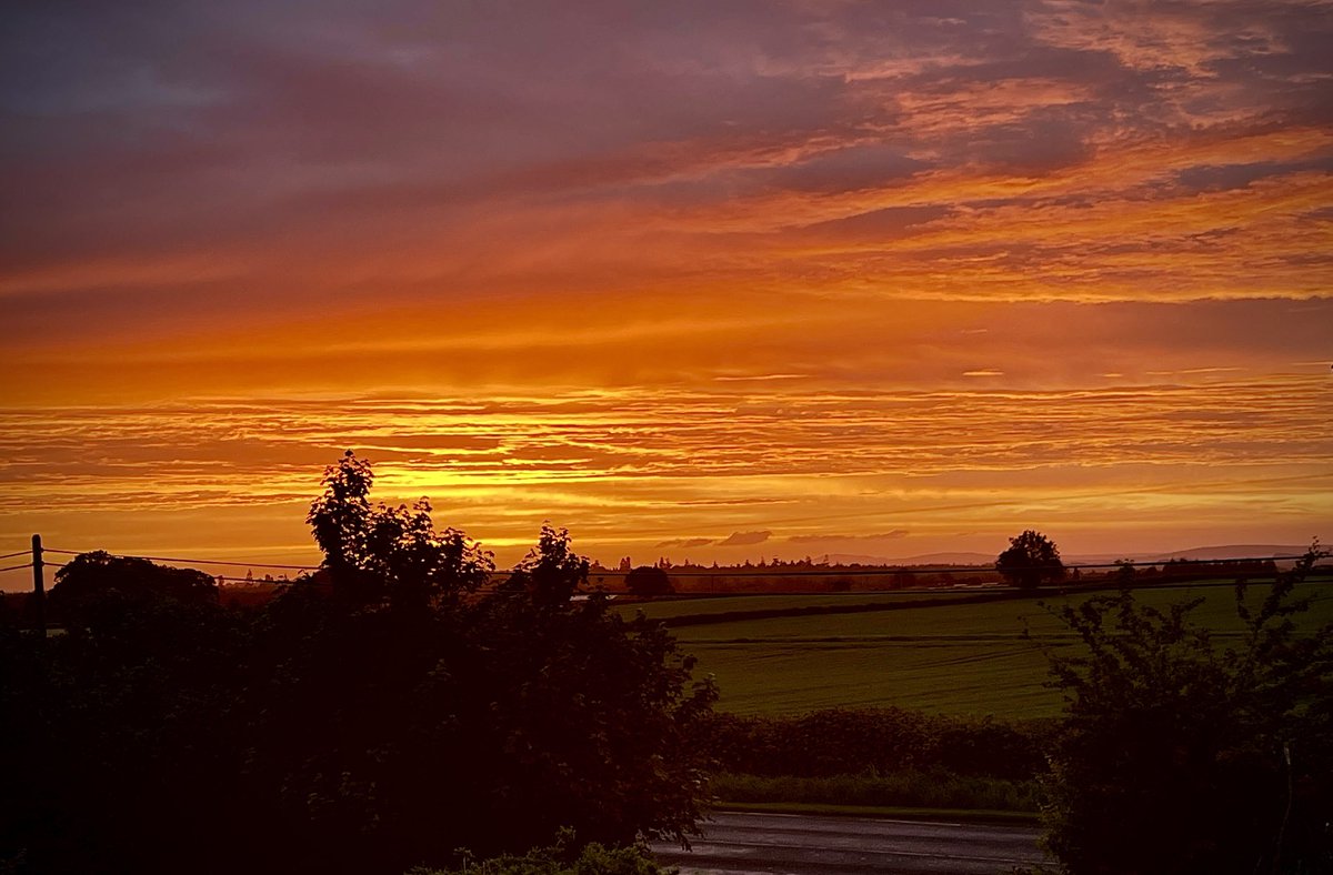 Hyland-Conlan Photos (@pollylaois) on Twitter photo 