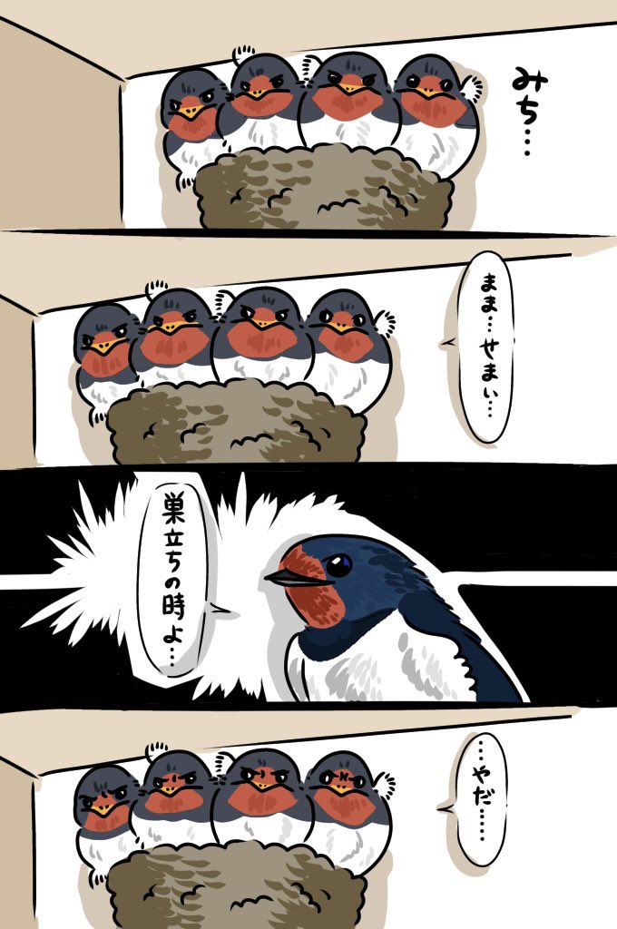 ゴイサギ 今日見た巣立ち前のツバメ 落ちそうなくらいパンパンなのに絶対出ようとはしないの可愛かった 頑張れ T Co 9oiimfu0ww Twitter ゴイサギ 今日見た巣立ち前のツバメ 落ちそうなくらいパンパンなのに絶対出ようとはしないの可愛かった 頑張れ T Co 9oiimfu0ww Twitter
