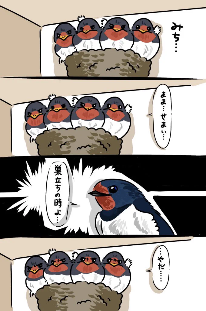 まだ巣立ちしたくない！大きな体で身を寄せ合うツバメが可愛いｗ