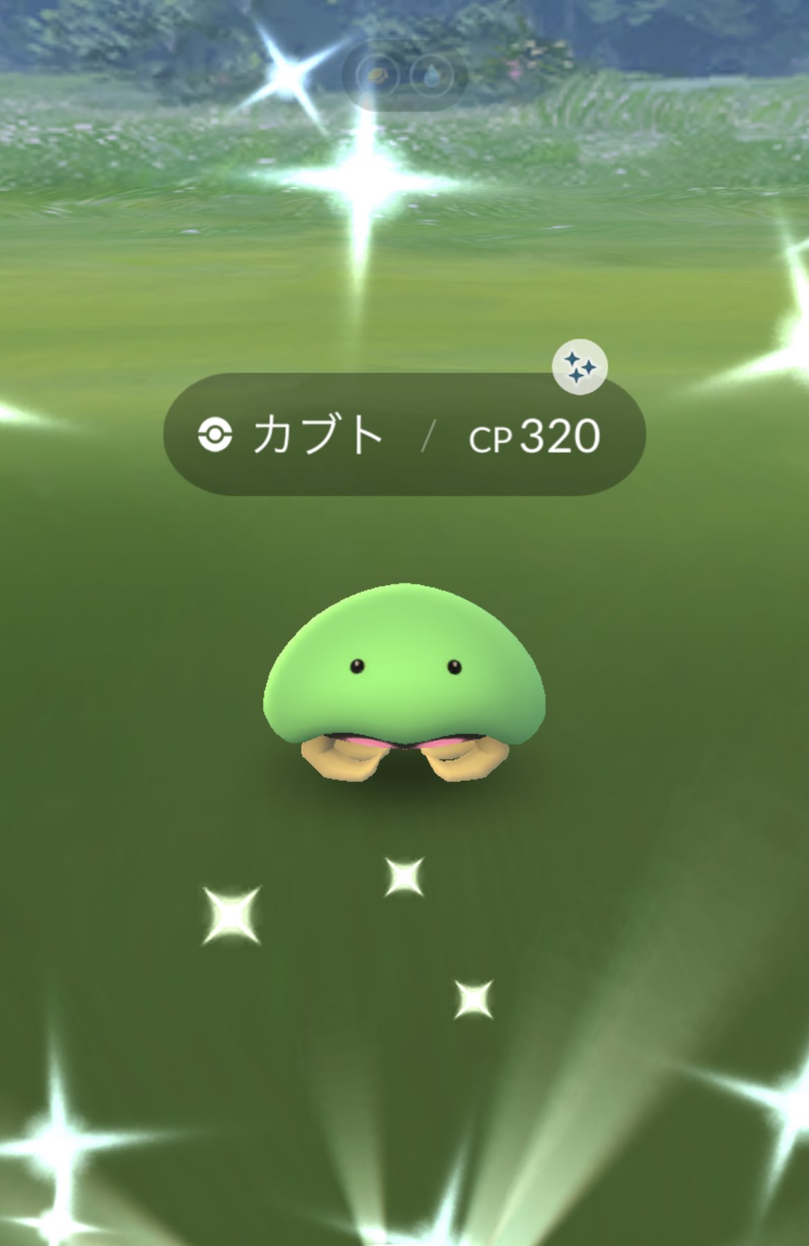 カブト色違い Twitter Search Twitter