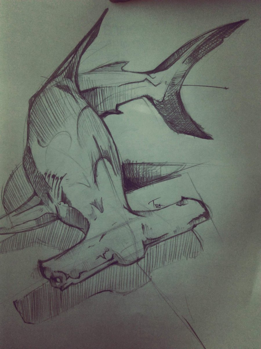 artroomkt's tweet photo. ไอ้ต้��วน่ารัก🤗
#art #drawing #hammerheadshark #shark #sharkdrawing https://t.co/DXYZXsA2P7