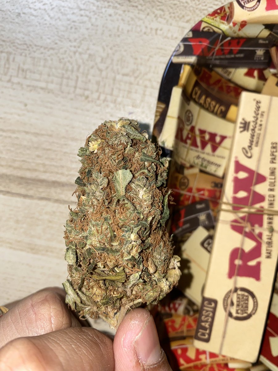 BAIPHO420's tweet photo. 🥦สวัสดีวันปลดลอค🥦 สนใจ DM 🌵CANNABIS LEGALIZATION IN THAILAND ☘️🍀 HAPPY MARIJUANA DAY #กัญชาถูกกฎหมาย #กัญชา #กัญชาอัดแท่ง #กัญชาเสรี #กัญชาออแกนิค #กัญชาประชาชน #กัญชานอก #กัญชาog #กัญชาไทย https://t.co/SWYiOKk7p8