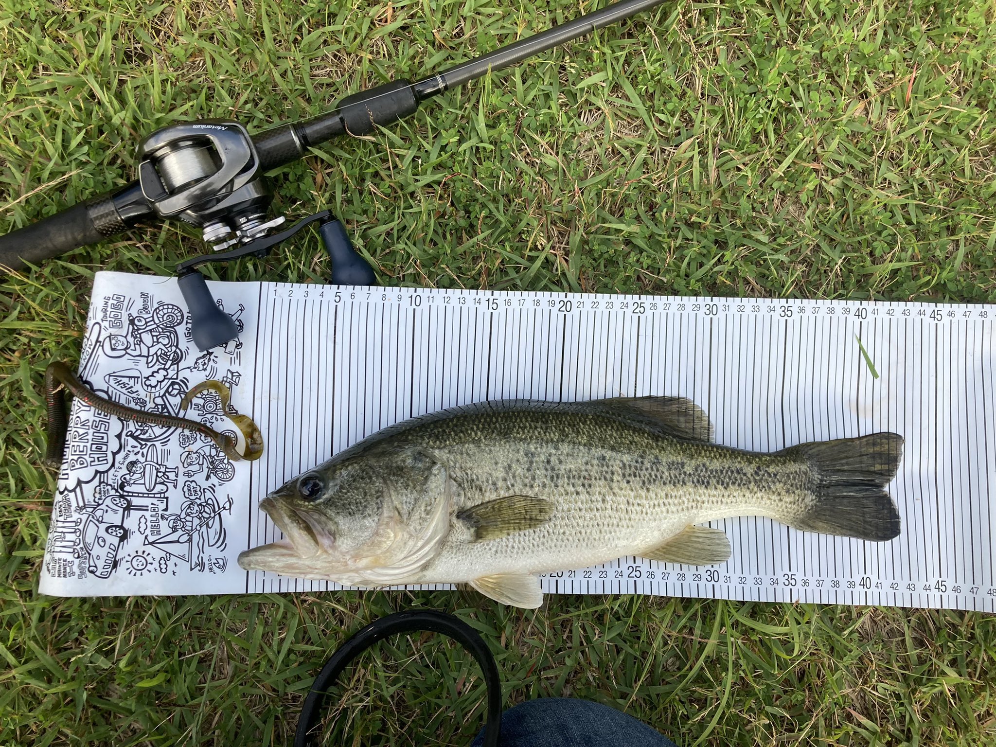 レボルブカスタム 78H