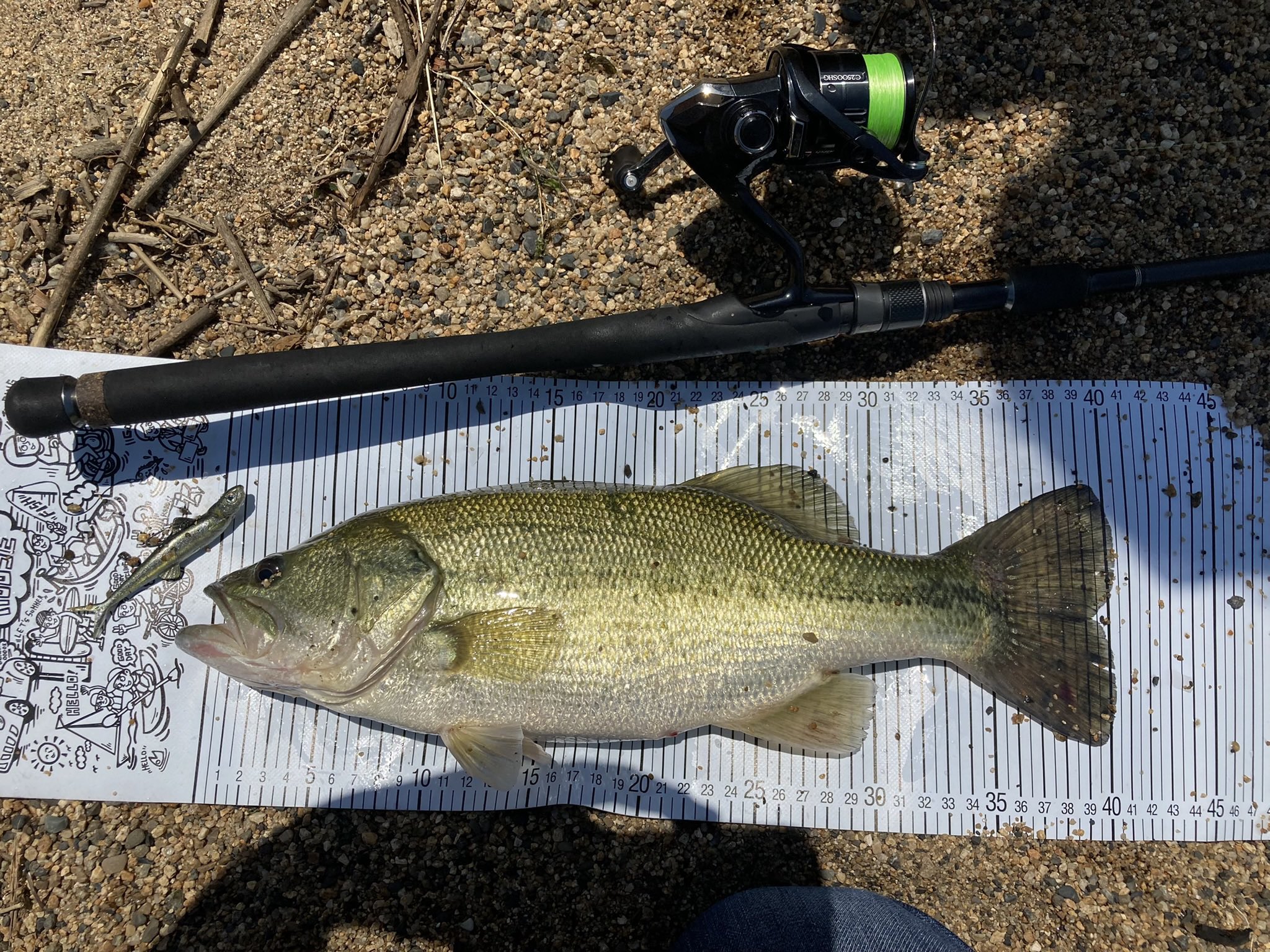 ENTELKHEIA レボルブカスタム REVOLVECUSTOM 78H